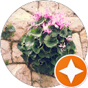 אופירה סבן profile picture